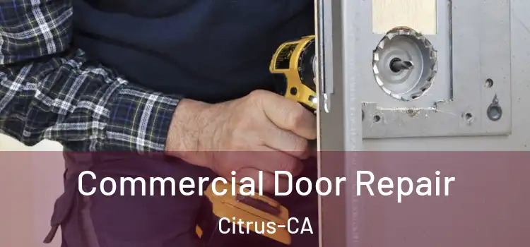  Commercial Door Repair Citrus-CA