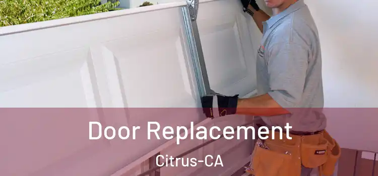  Door Replacement Citrus-CA