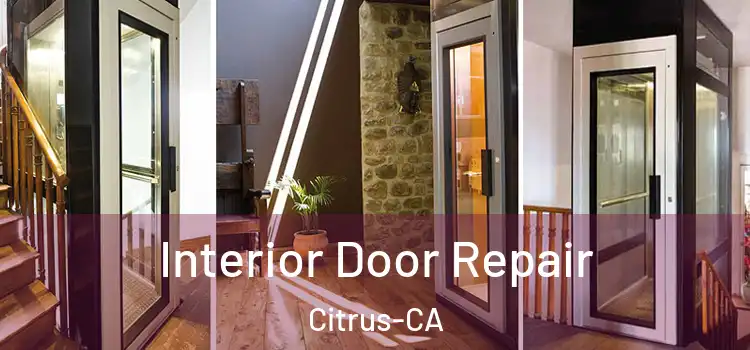  Interior Door Repair Citrus-CA