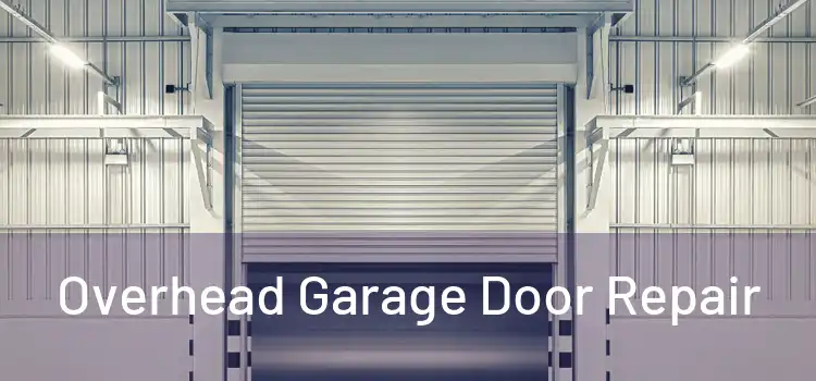  Overhead Garage Door Repair 